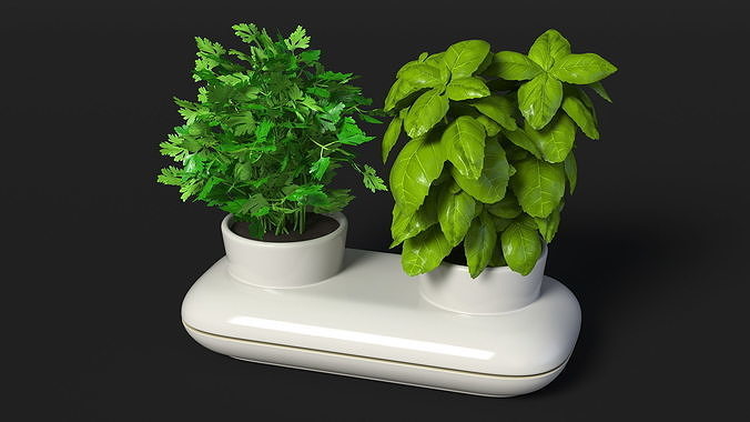 Herbs in Sagaform Double Pot White 3D model 7