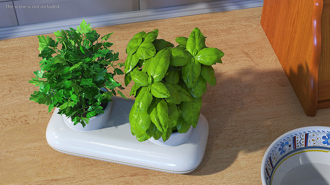 Herbs in Sagaform Double Pot White 3D model 4