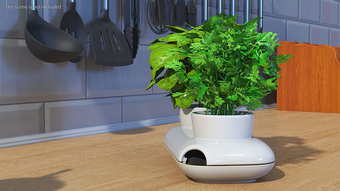 Herbs in Sagaform Double Pot White 3D model 5