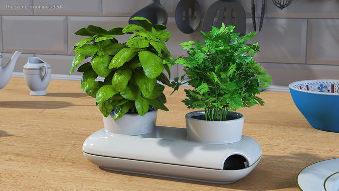 Herbs in Sagaform Double Pot White 3D model 3