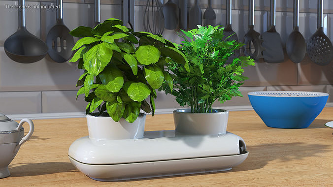 Herbs in Sagaform Double Pot White 3D model 2