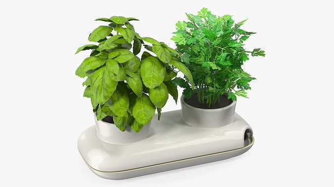 Herbs in Sagaform Double Pot White 3D model