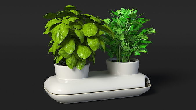 Herbs in Sagaform Double Pot White 3D model 6