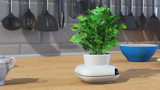 Parsley in Sagaform Single Herb Pot White 3D model 2