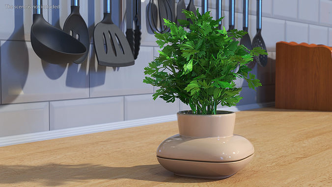 Parsley in Single Herb Pot Sagaform Beige 3D model 5