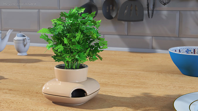 Parsley in Single Herb Pot Sagaform Beige 3D model 3