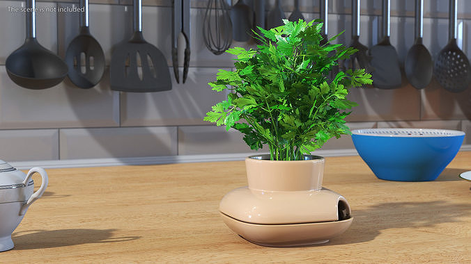 Parsley in Single Herb Pot Sagaform Beige 3D model 2