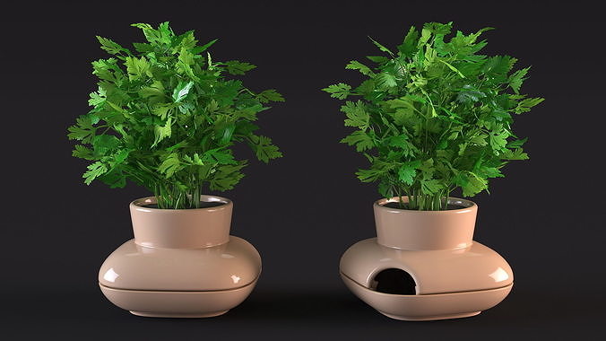 Parsley in Single Herb Pot Sagaform Beige 3D model 6