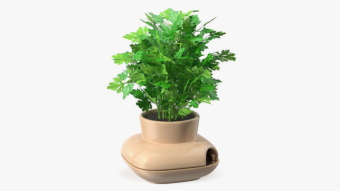 Parsley in Single Herb Pot Sagaform Beige 3D model