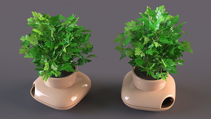 Parsley in Single Herb Pot Sagaform Beige 3D model 7
