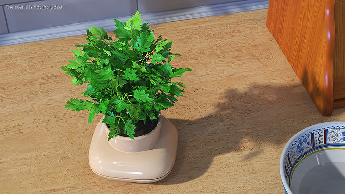 Parsley in Single Herb Pot Sagaform Beige 3D model 4