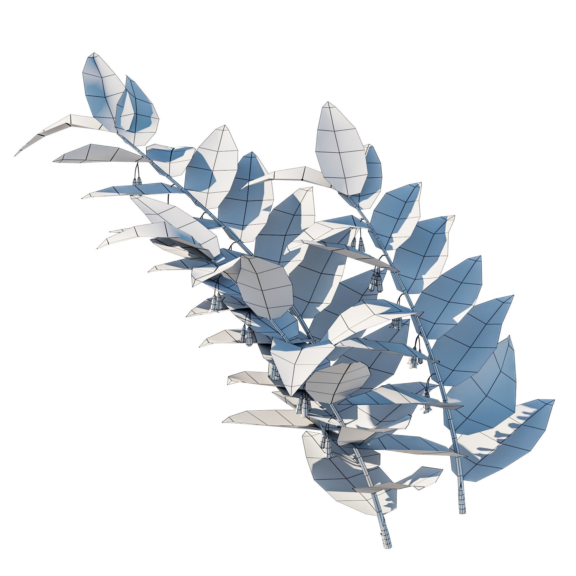 Polygonatum Odoratum 3D model_4