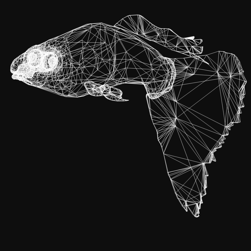 Guppy Studio Max 3D model_2