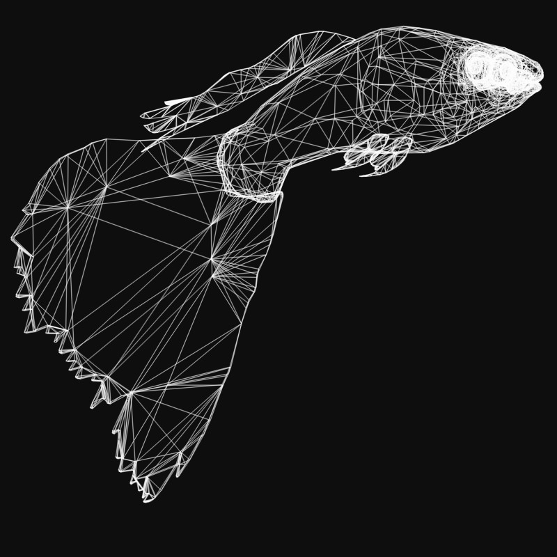 Guppy Studio Max 3D model_3