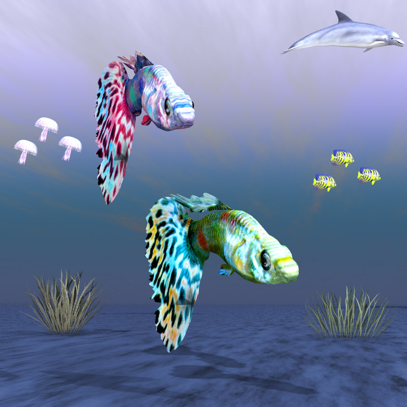 Guppy Studio Max 3D model_4