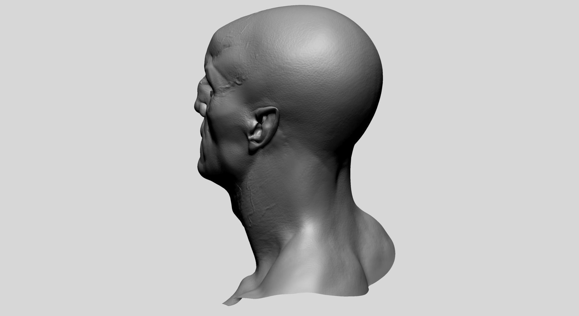 Creature Head V1 3D model_6