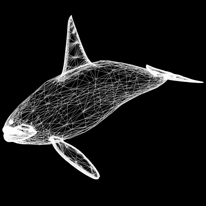 Killer Whale Male Studio Max 3D model_4
