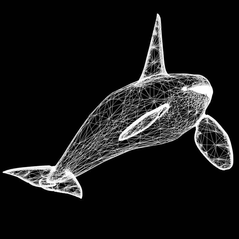Killer Whale Male Studio Max 3D model_1