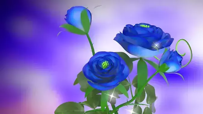 flower rose blooming nature petal floral romantic   plant