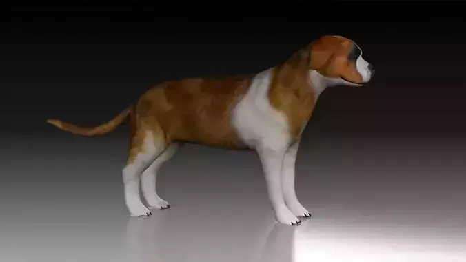 dog animal pet canine rescue snow alps park obedience nature