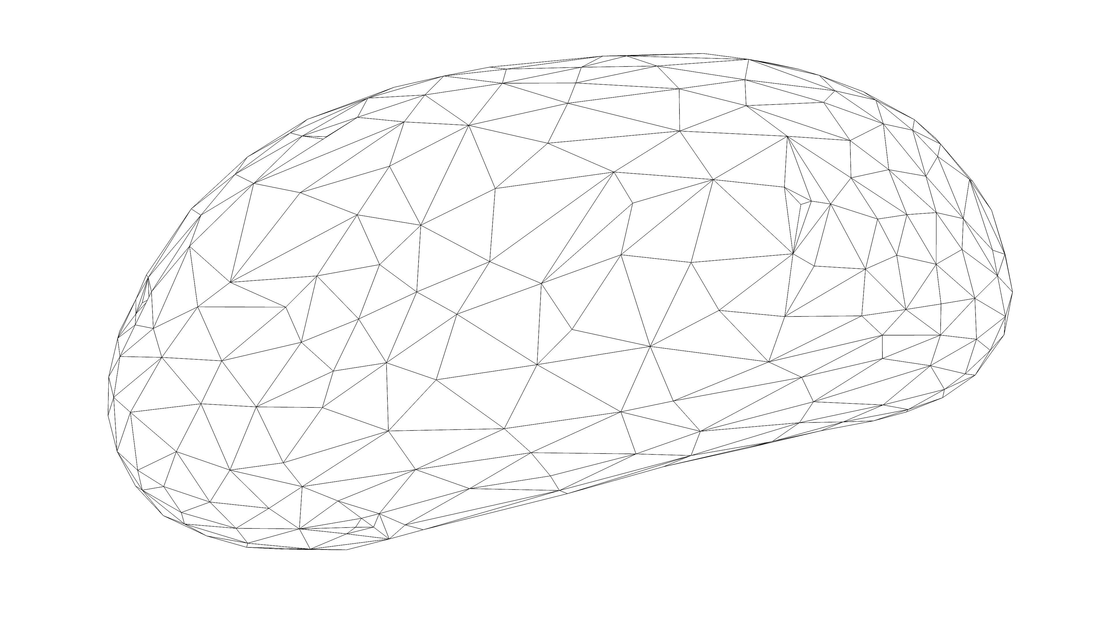 Photorealistic 3D scan of potato Low-poly 3D model_14