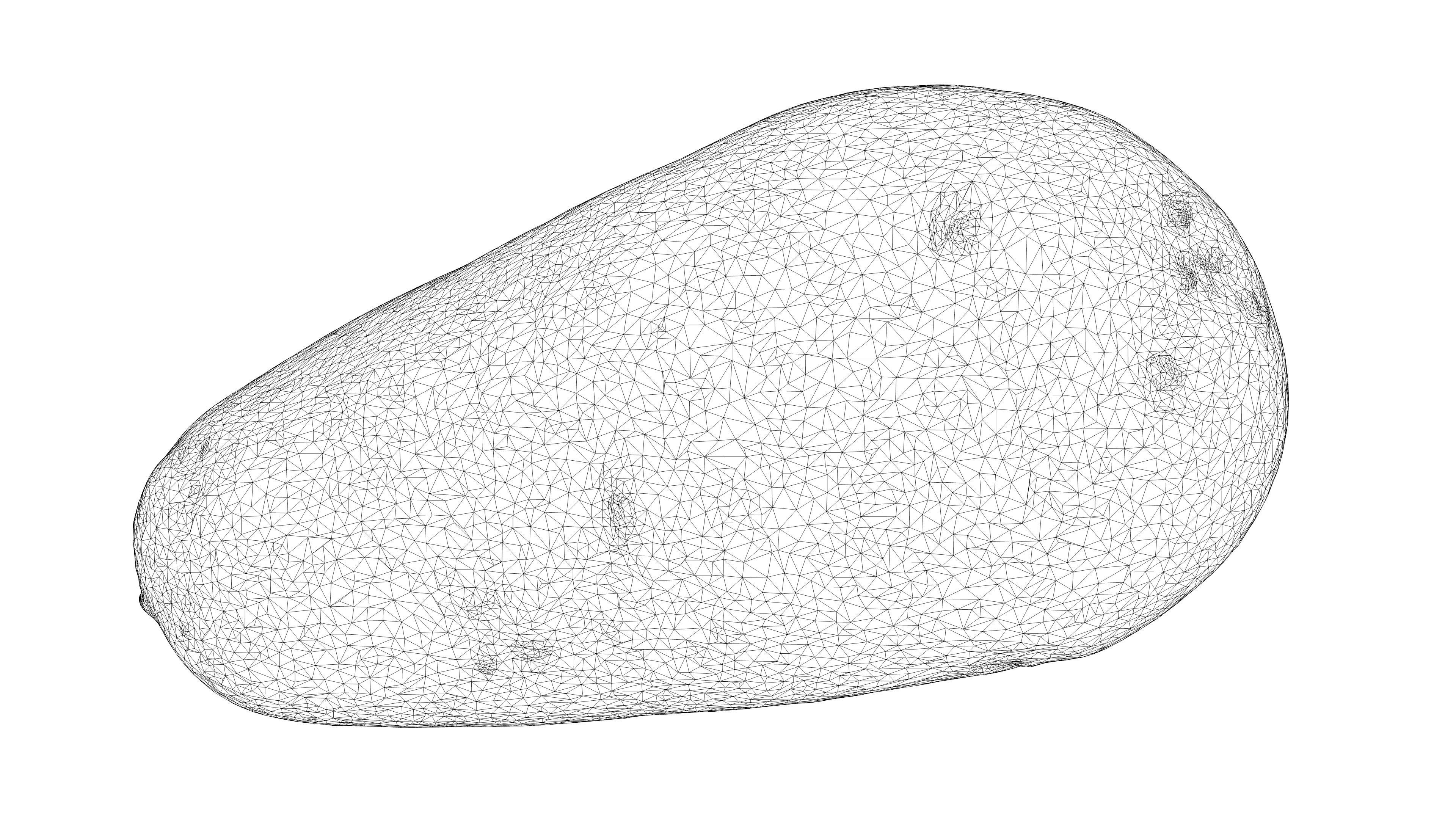 Photorealistic 3D scan of potato Low-poly 3D model_23