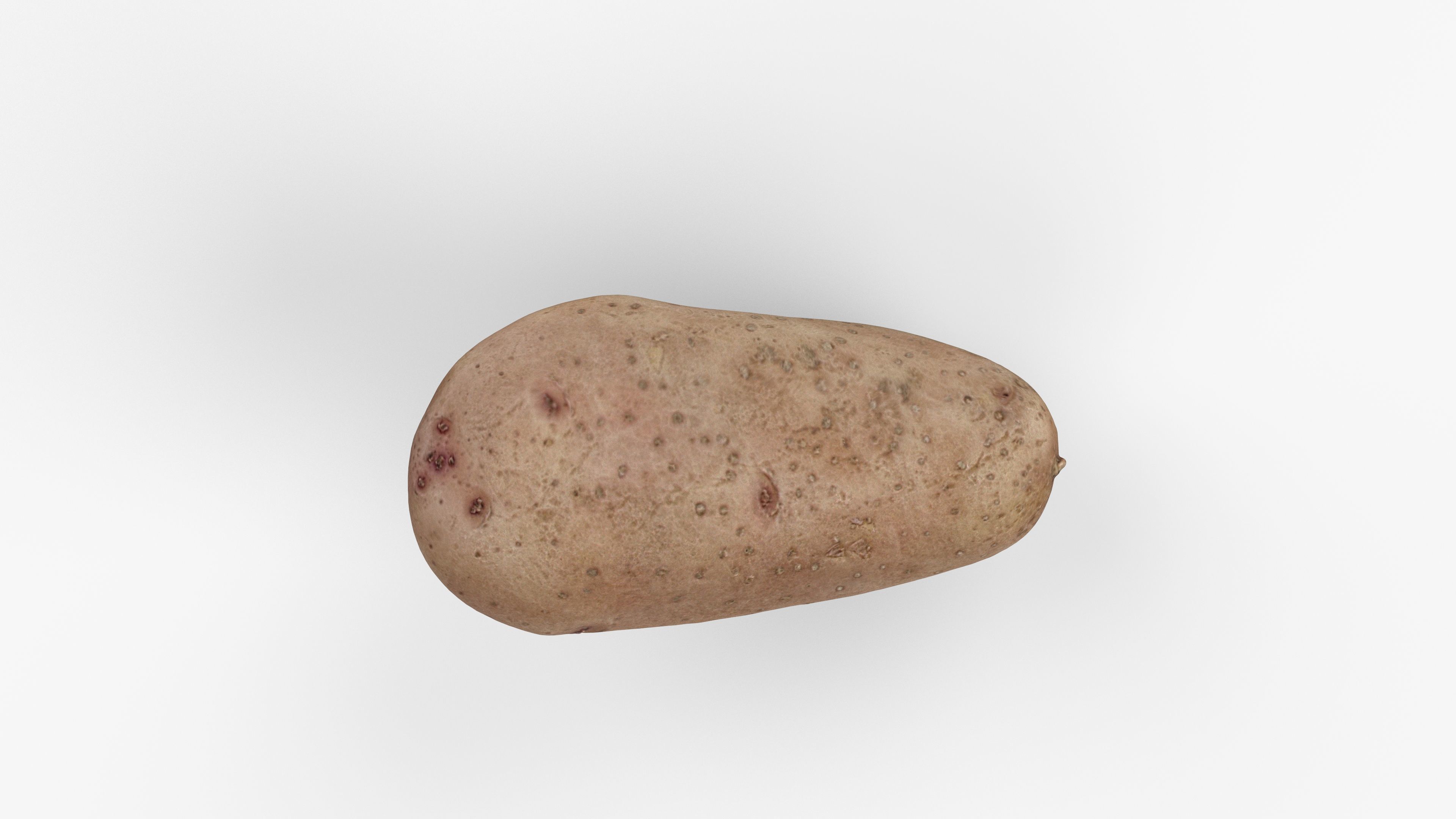 Photorealistic 3D scan of potato Low-poly 3D model_11