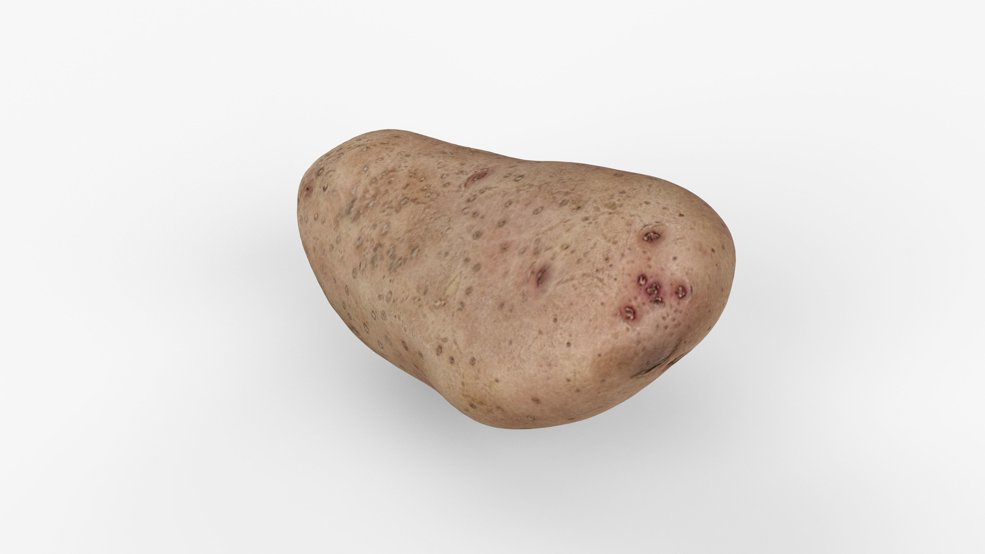 Photorealistic 3D scan of potato Low-poly 3D model_7