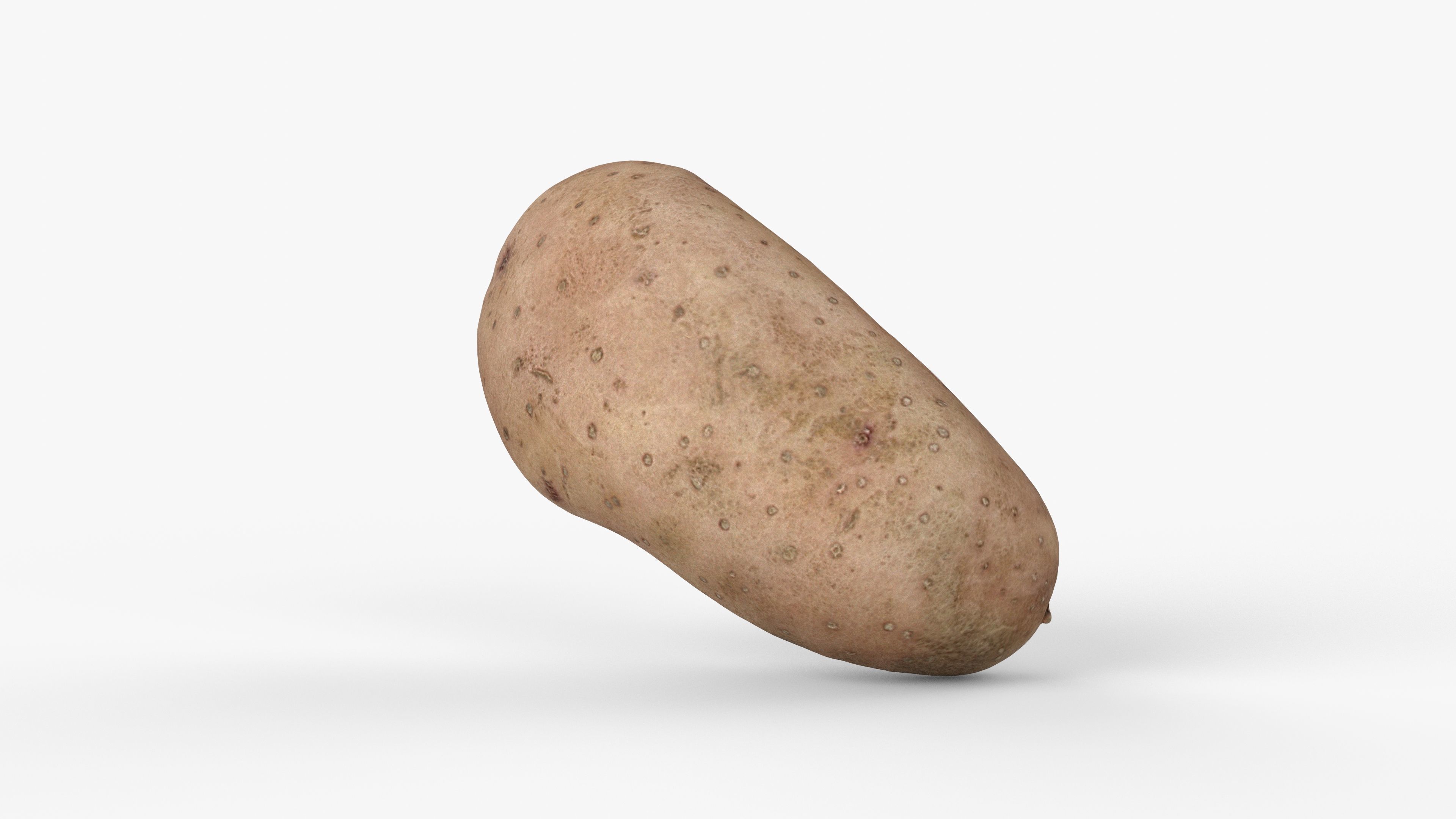 Photorealistic 3D scan of potato Low-poly 3D model_13