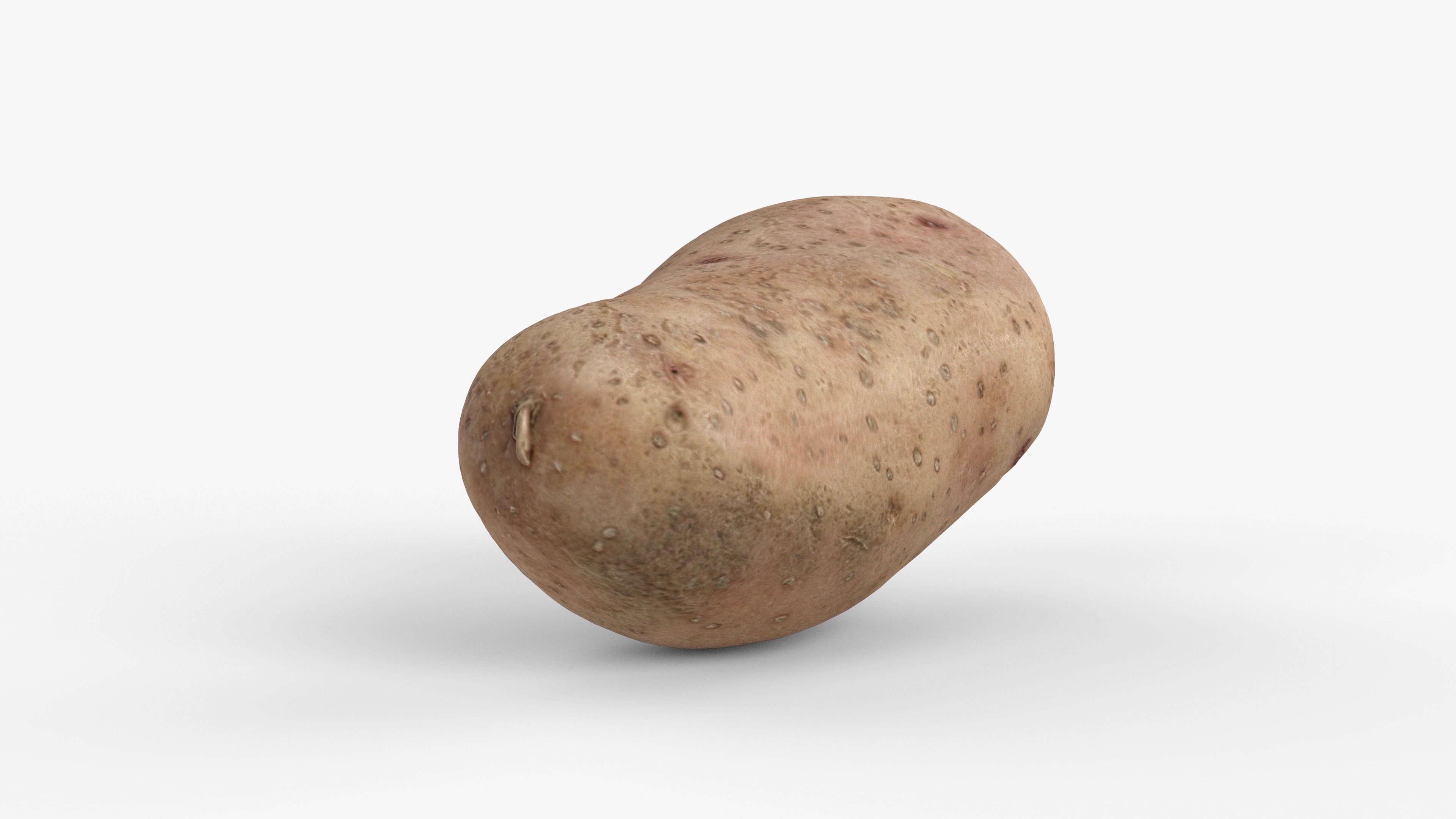 Photorealistic 3D scan of potato Low-poly 3D model_4