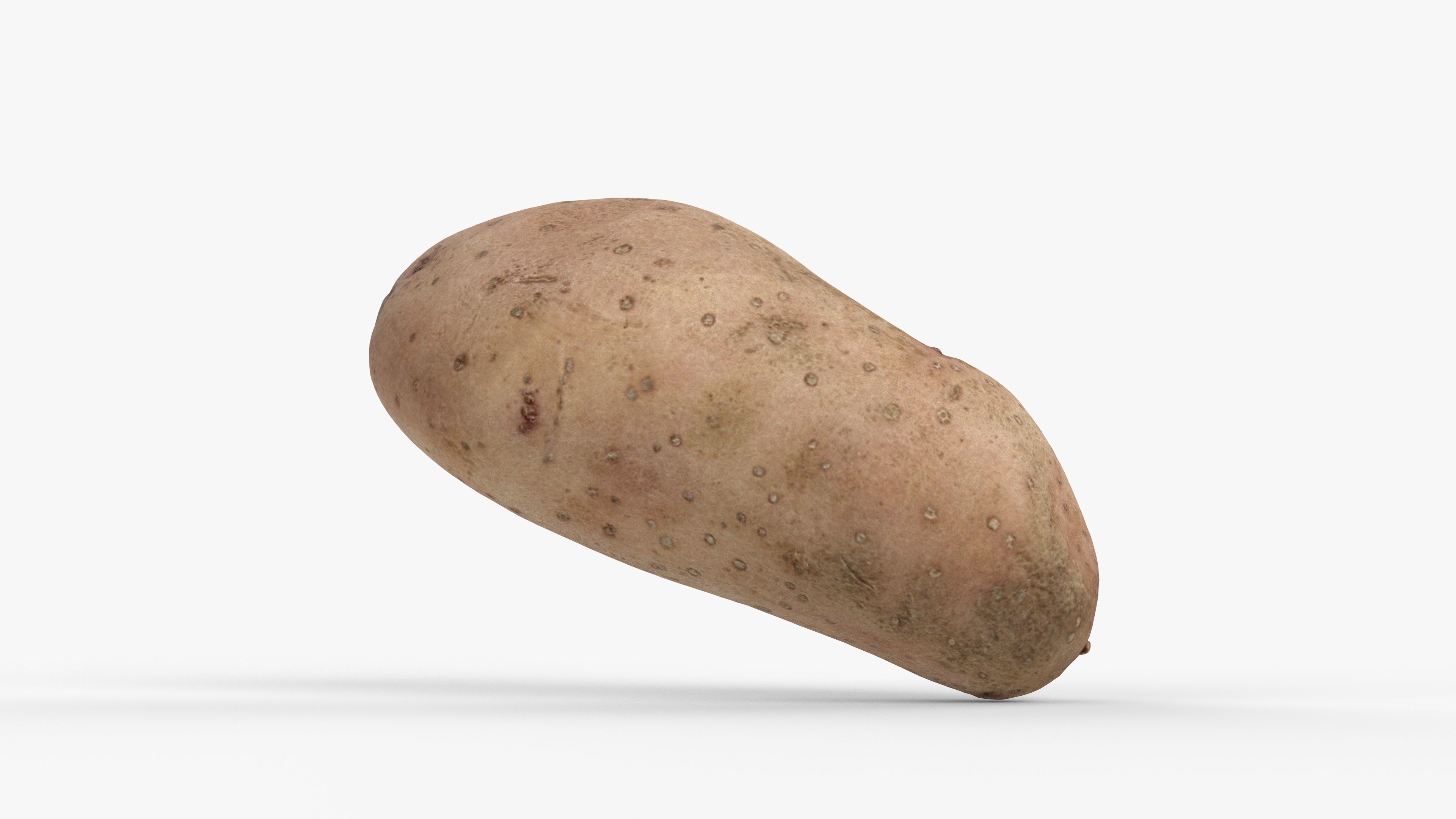 Photorealistic 3D scan of potato Low-poly 3D model_10