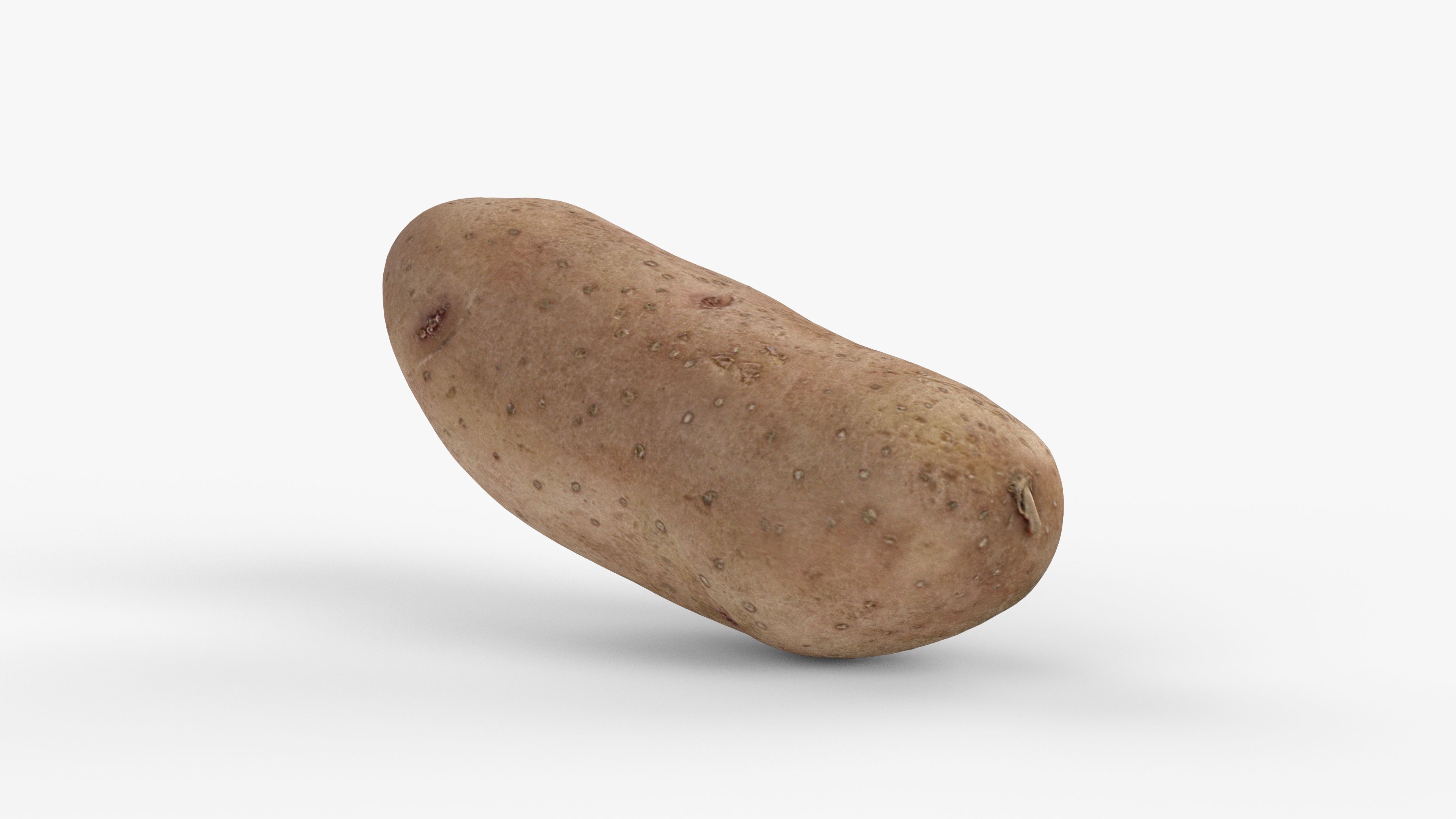 Photorealistic 3D scan of potato Low-poly 3D model_5