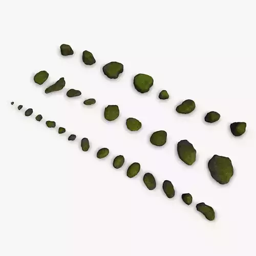 Assorted Rocks - Moss