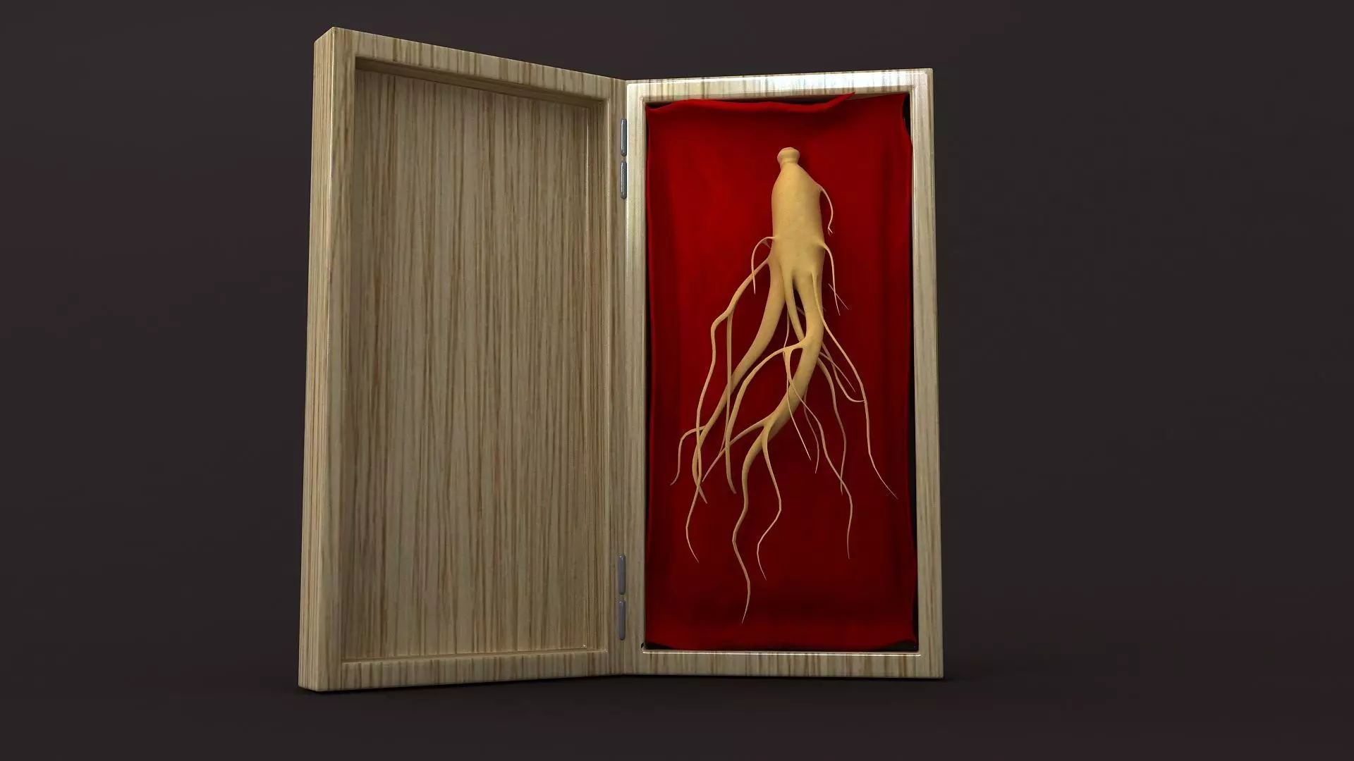 ginseng plant nature tree food leaf forest maple maple tree 3D model