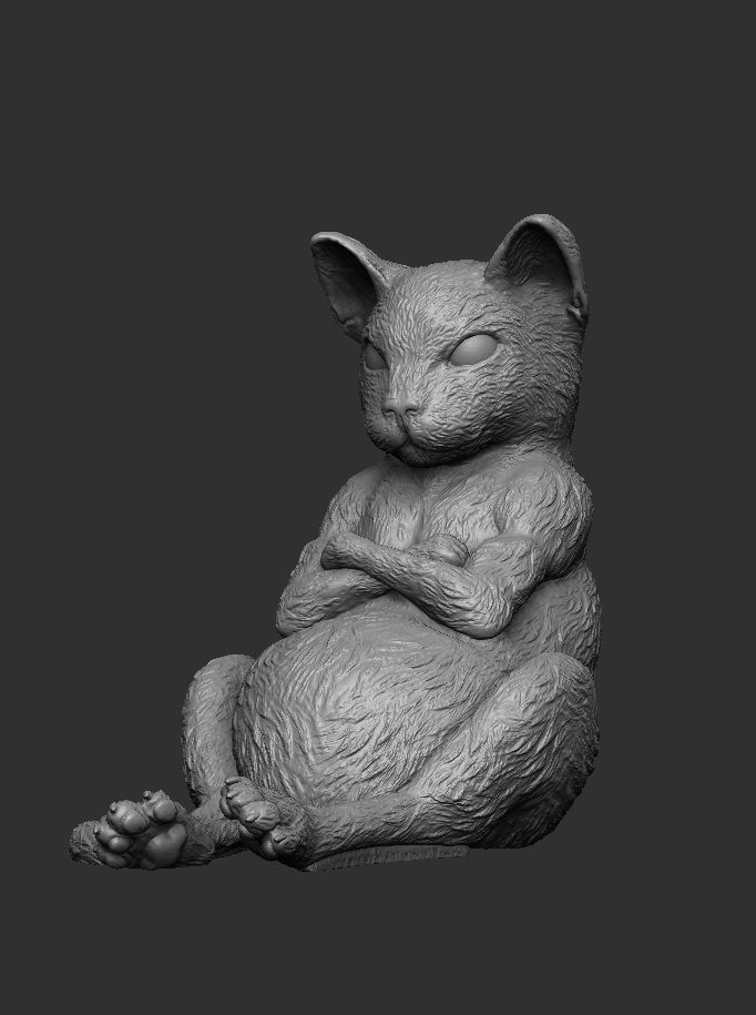 ANGRY CAT 3D print model_1