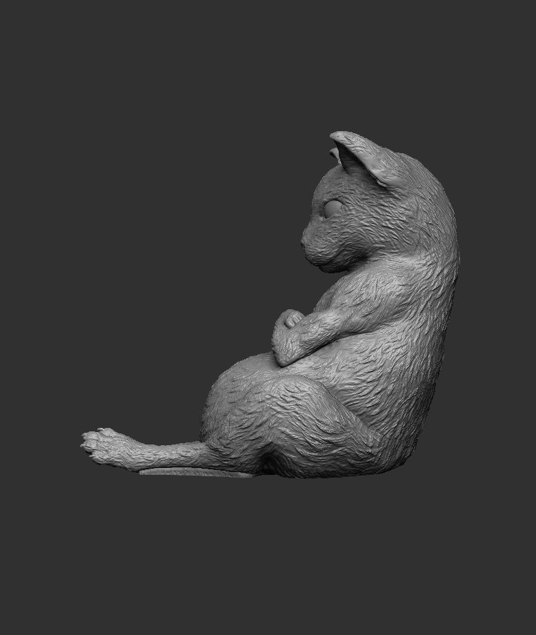 ANGRY CAT 3D print model_2