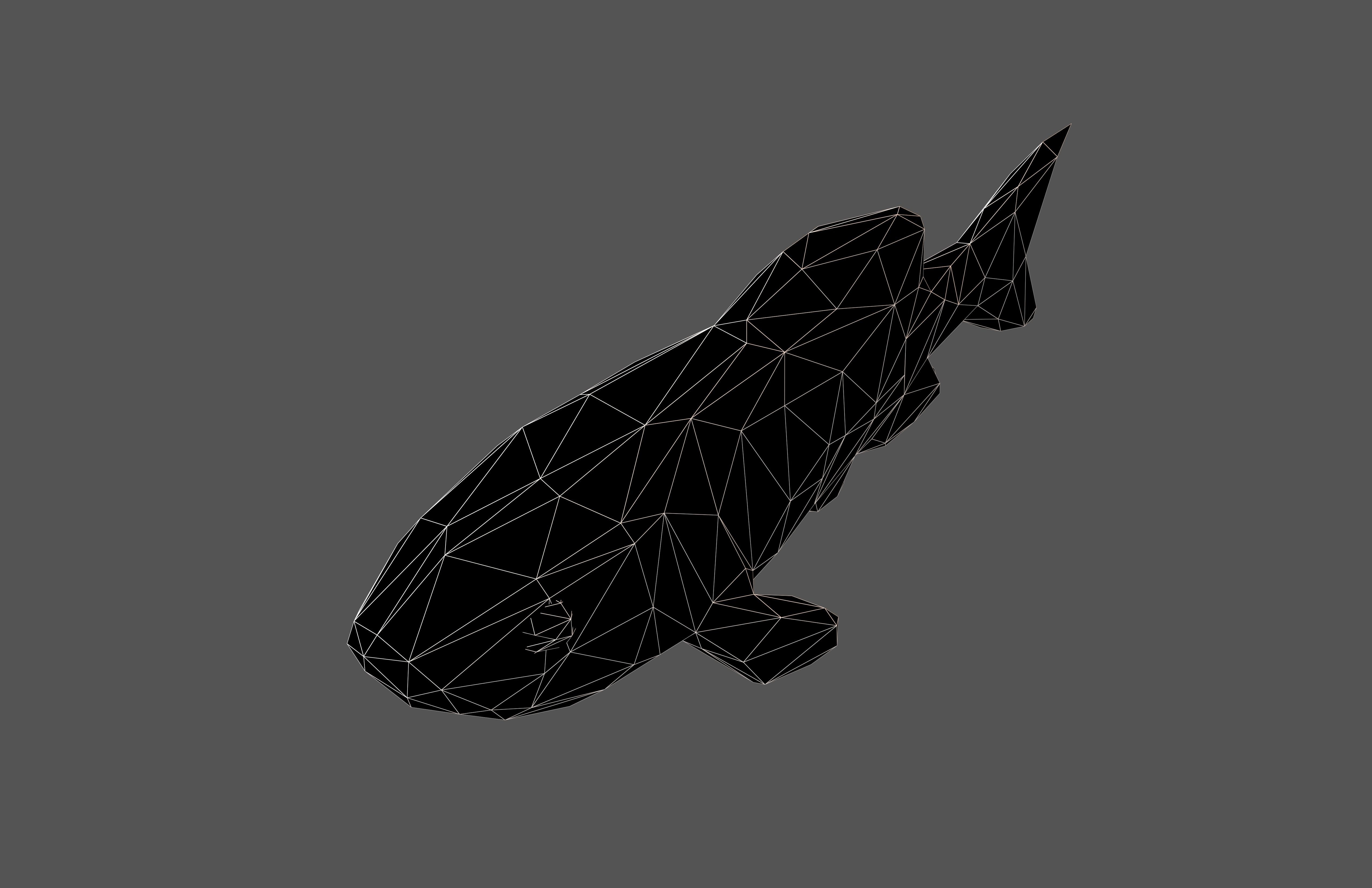 Stylized Fish v1 004 Low-poly 3D model_6