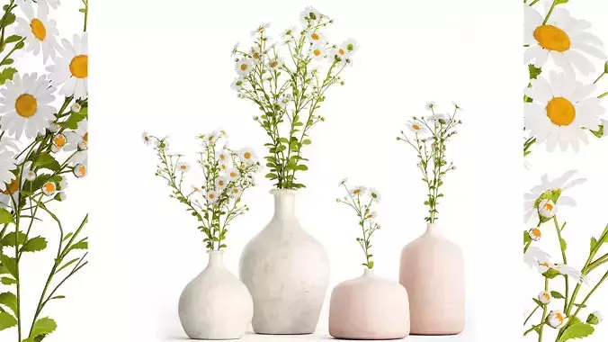 Set of bouquets of white wildflowers chamomile daisies 414