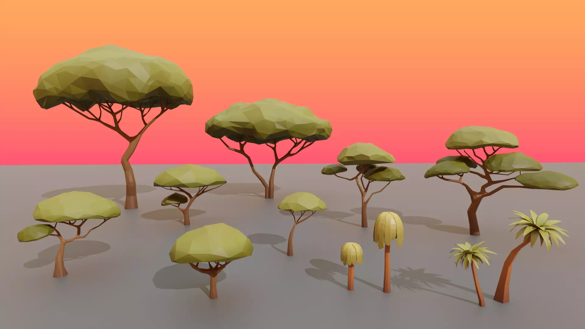 Collection Trees Savannah Biome Low Poly Low-poly 3D model_0