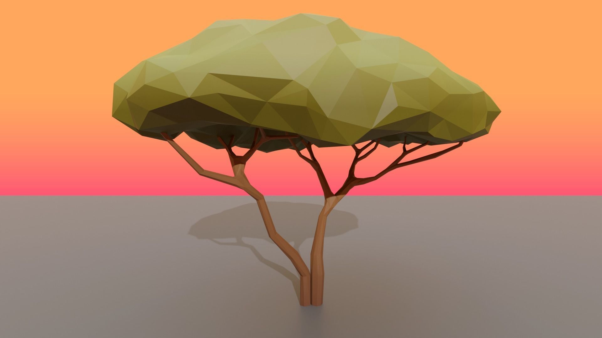 Collection Trees Savannah Biome Low Poly Low-poly 3D model_6