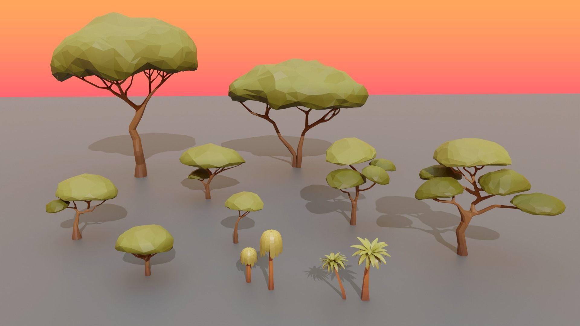 Collection Trees Savannah Biome Low Poly Low-poly 3D model_1