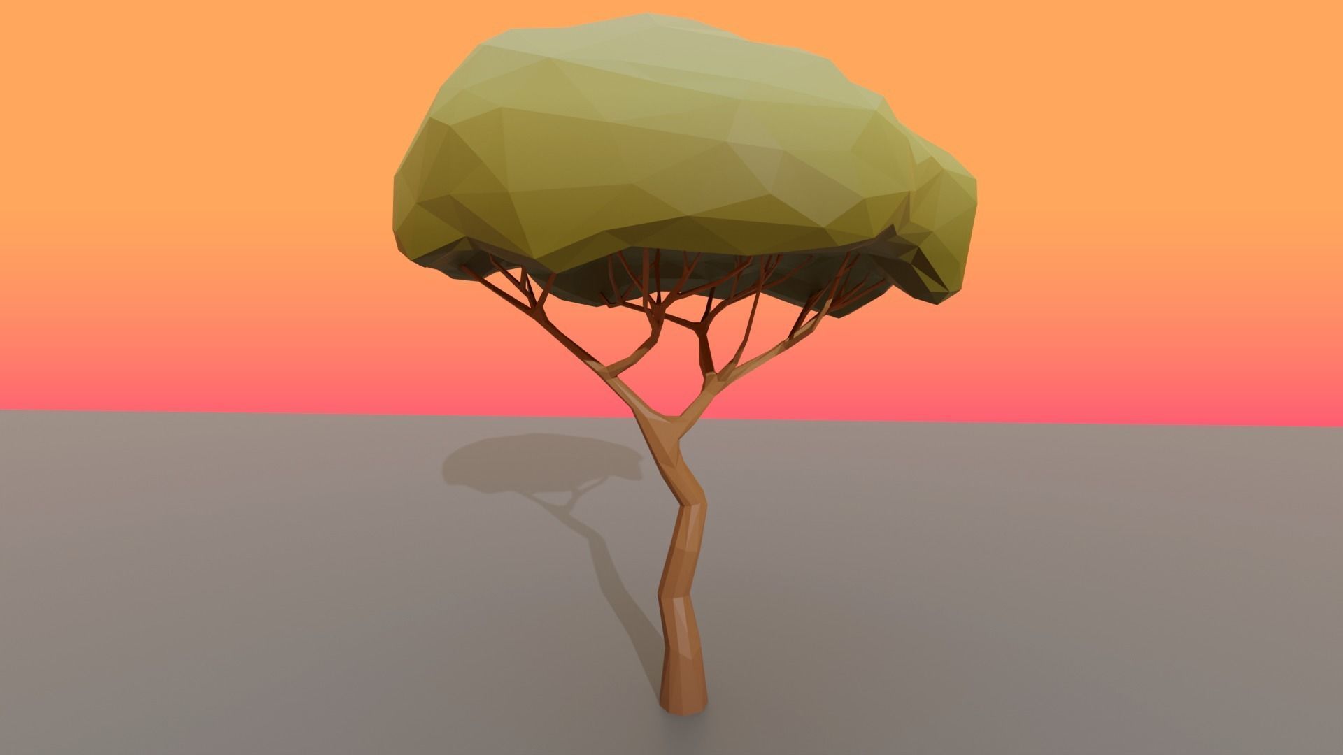 Collection Trees Savannah Biome Low Poly Low-poly 3D model_7