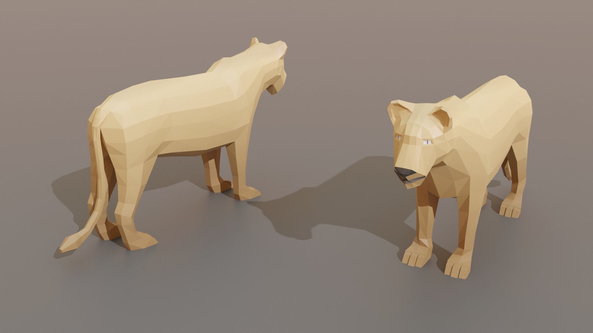 Collection Animals Savannah Biome Low Poly Low-poly 3D model_7