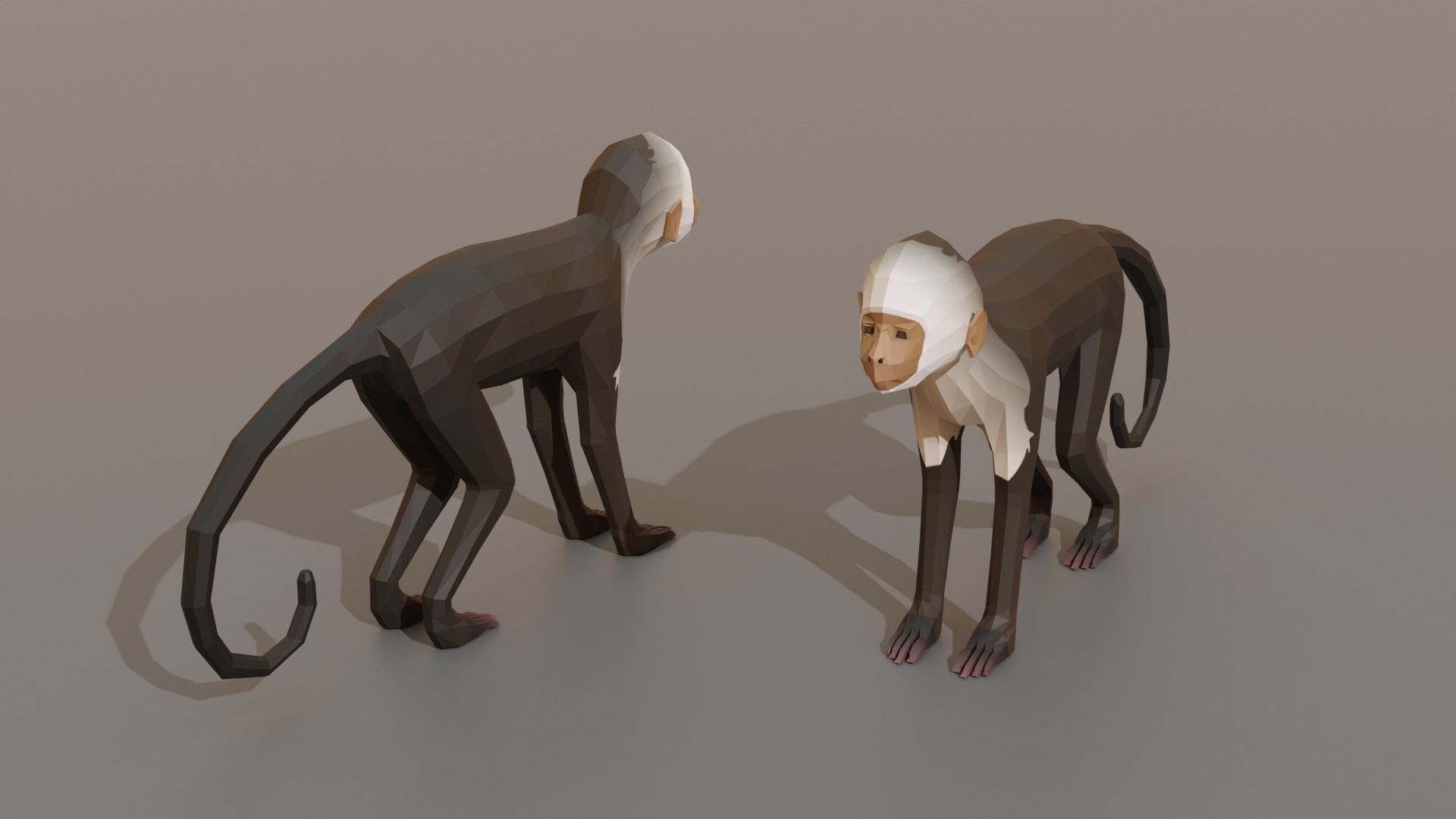 Collection Animals Savannah Biome Low Poly Low-poly 3D model_4