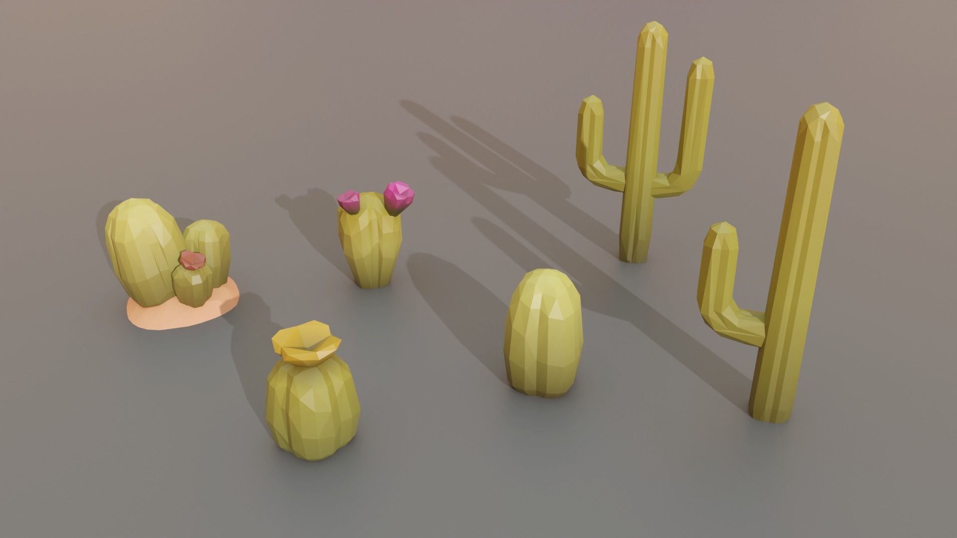 Complet Edition Savannah Biome Low Poly 3D Model Collection_8