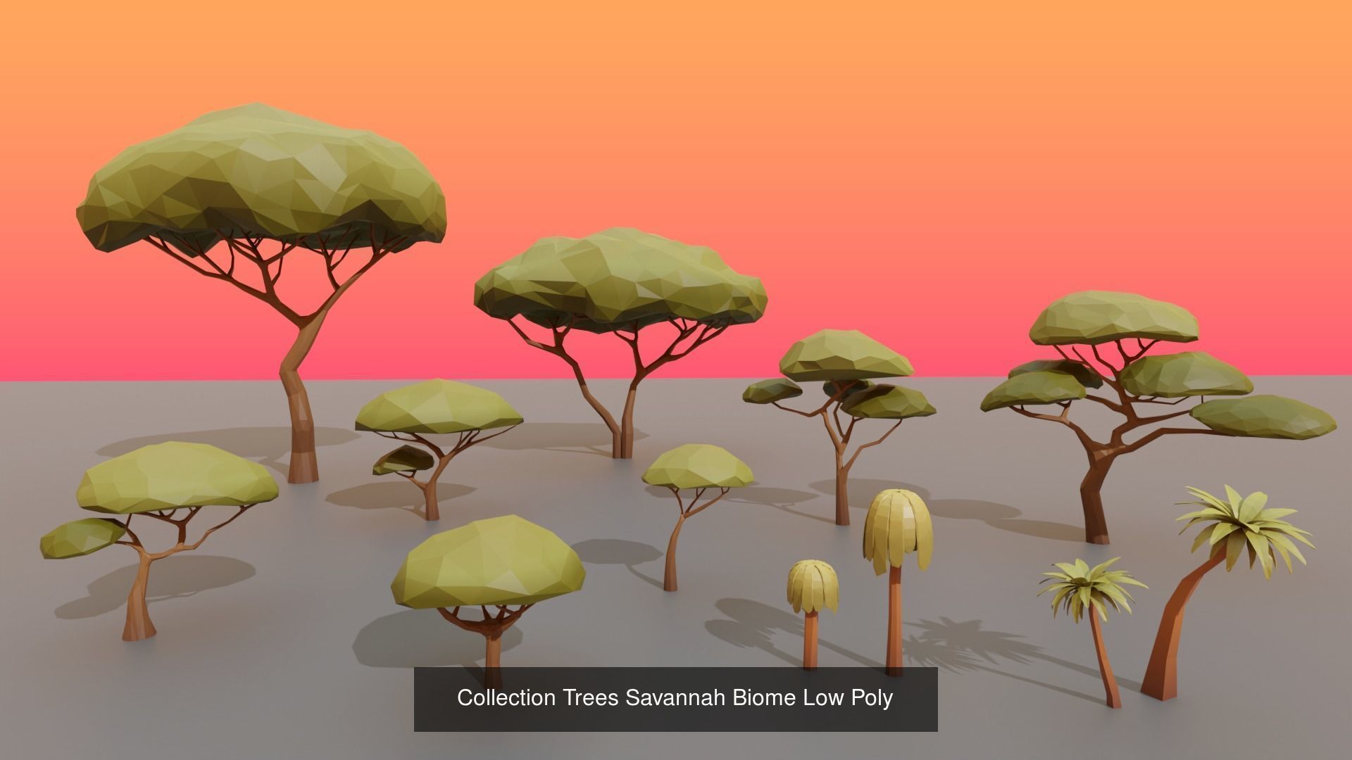 Complet Edition Savannah Biome Low Poly 3D Model Collection_4
