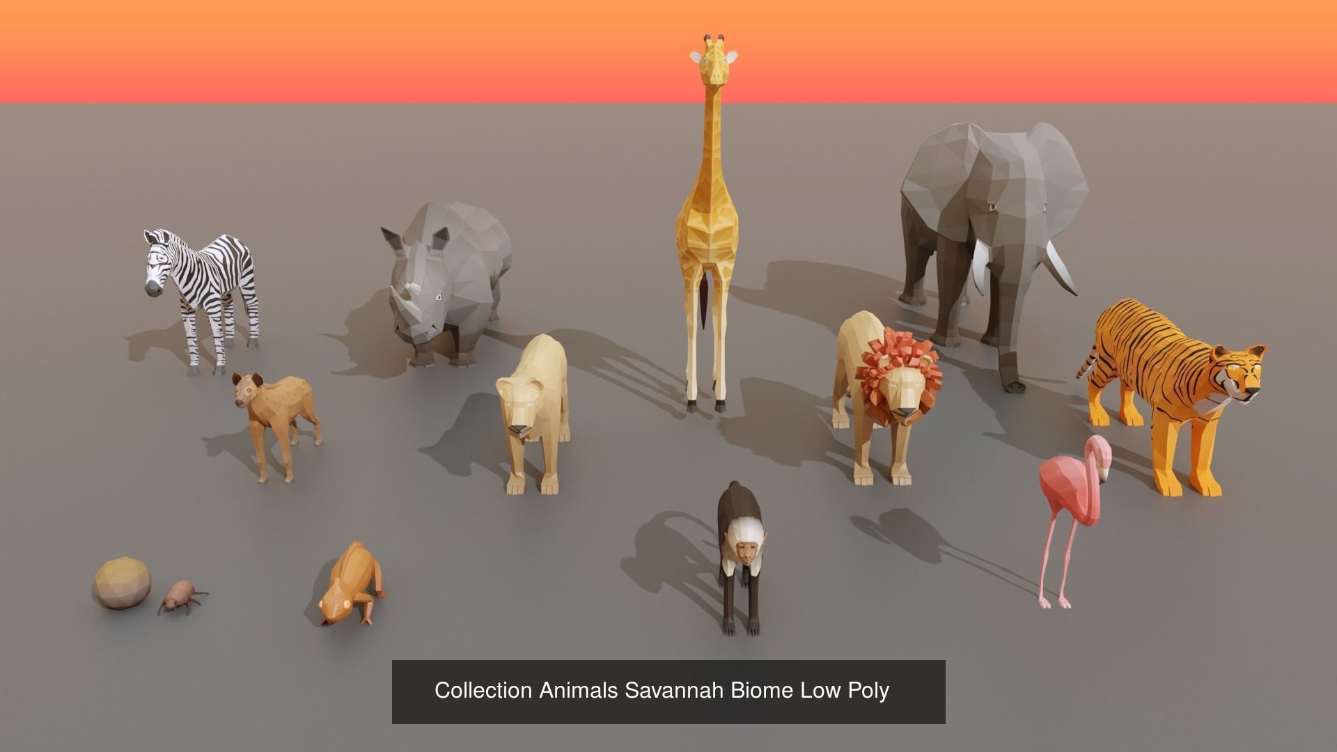 Complet Edition Savannah Biome Low Poly 3D Model Collection_5