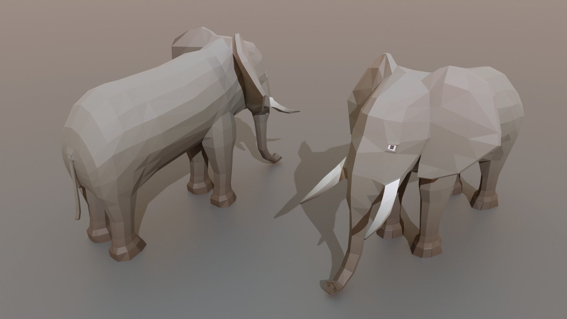 Complet Edition Savannah Biome Low Poly 3D Model Collection_18