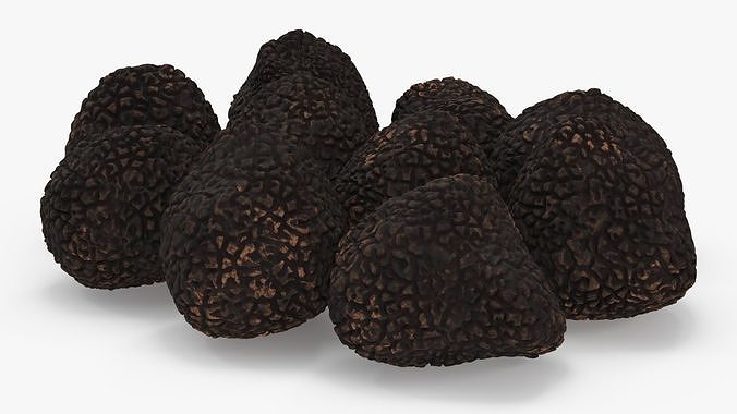Black Truffle 3D model 7