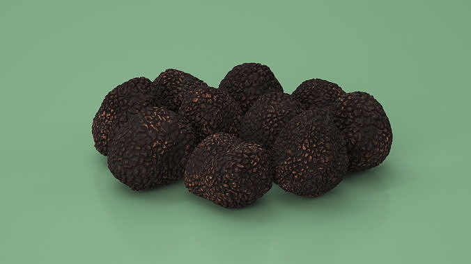 Black Truffle 3D model 5